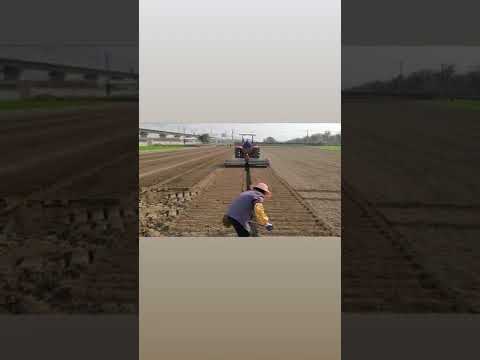Wheat sowing machinery · Clip 04