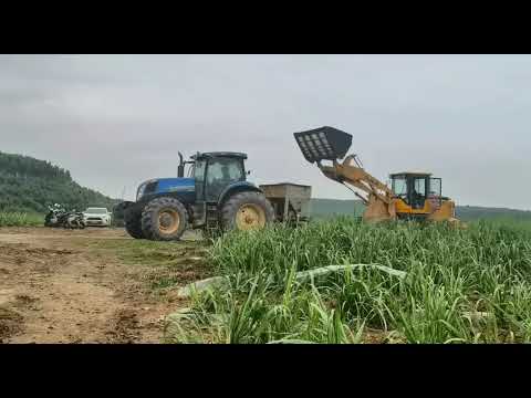 Sugarcane fertilization and soil cultivation