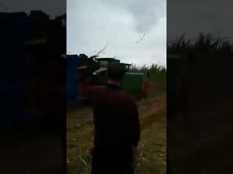 Sugarcane harvester