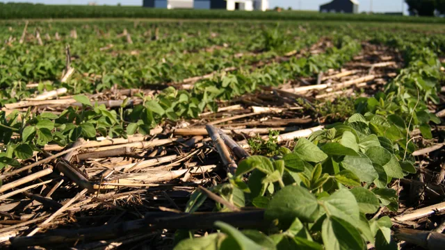Conservation agriculture