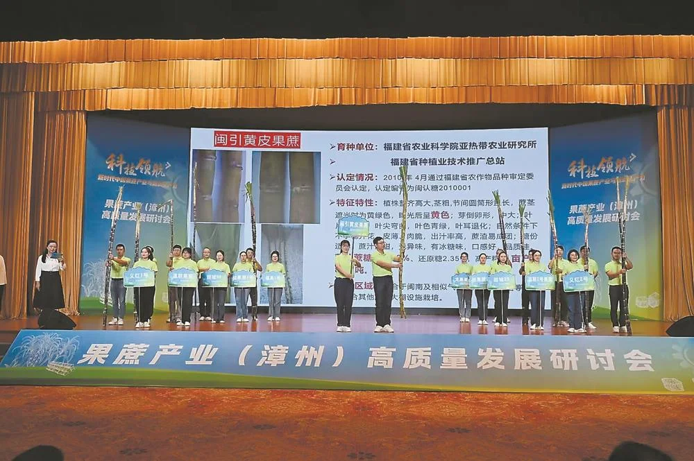 果蔗品种推介秀