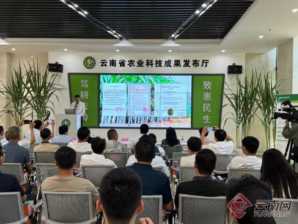 云南省农科院科技成果发布会