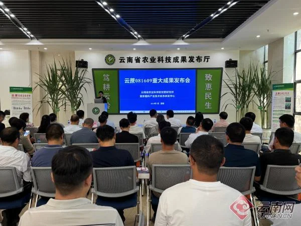 云蔗081609成果介绍会现场
