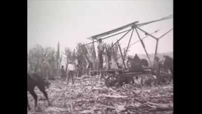 研究采样帧;请结合相邻时间与观察记录核读