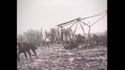 研究采样帧;请结合相邻时间与观察记录核读