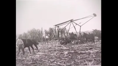 研究采样帧;请结合相邻时间与观察记录核读