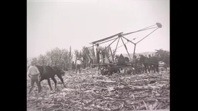研究采样帧;请结合相邻时间与观察记录核读