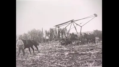 研究采样帧;请结合相邻时间与观察记录核读