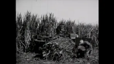 研究采样帧;请结合相邻时间与观察记录核读