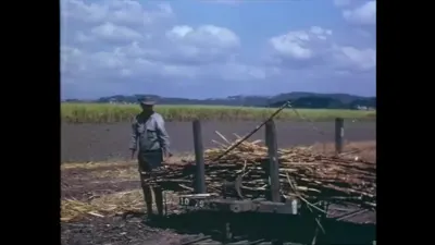 研究采样帧；请结合相邻时间与观察记录核读