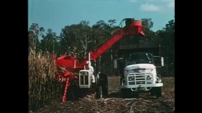 白色长车头接料卡车