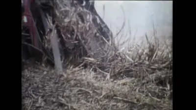 研究采样帧;请结合相邻时间与观察记录核读
