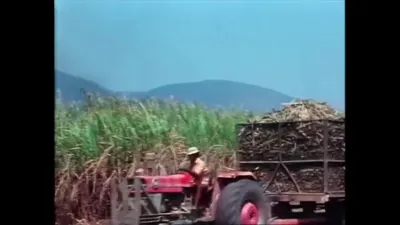 红色拖拉机牵引高网栏运蔗车
