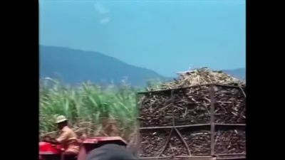 研究采样帧；请结合相邻时间与观察记录核读