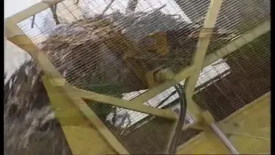 黄色高位倾翻蔗箱与承接运输容器