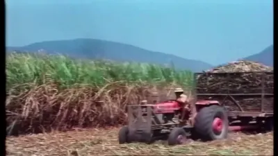 红色拖拉机牵引高网栏运蔗车
