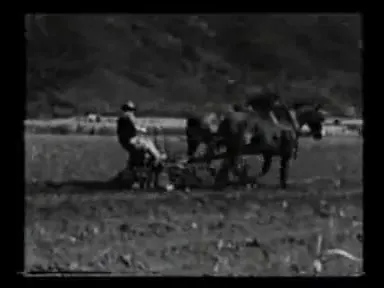 畜力牵引的行间耕作／培土设备组