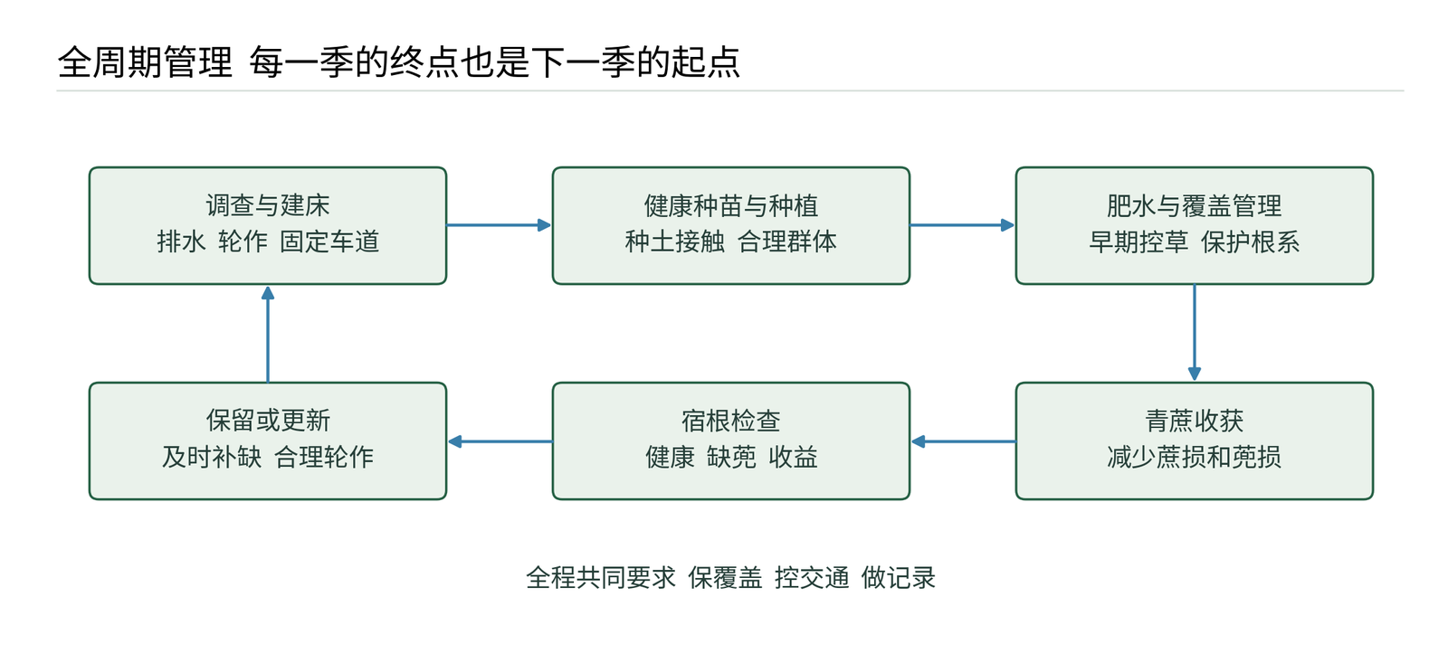 图1 全周期管理关系图  新植质量决定群体  收获质量决定宿根起点