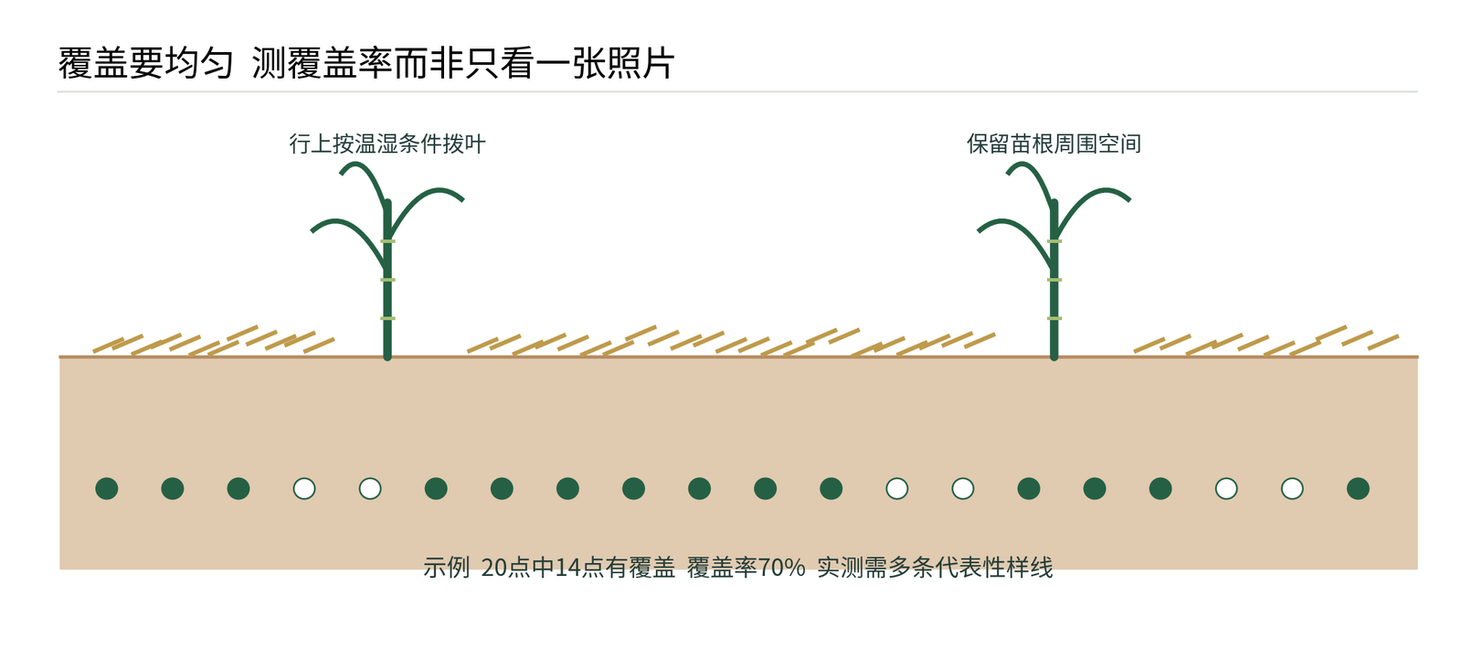 图7 覆盖布局与线点法  行间保覆盖  行上按温湿条件调整