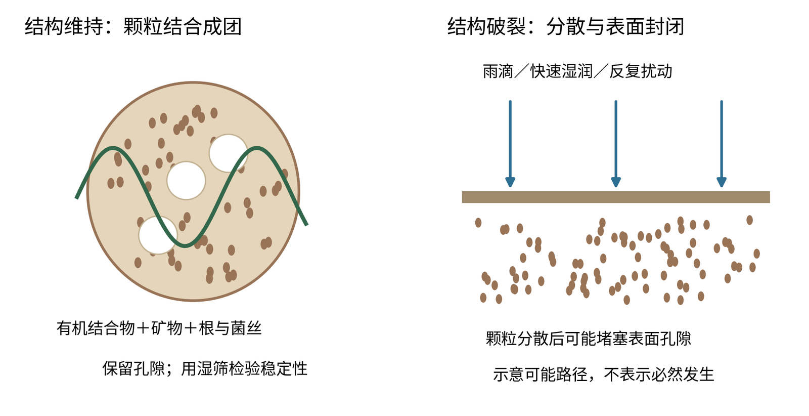 图23-D 团聚体形成与破裂的结构示意。原创概念图：外部残体、菌丝和根系参与结构维持；圈内孔隙示意尺度不同，不是扫描电镜照片。