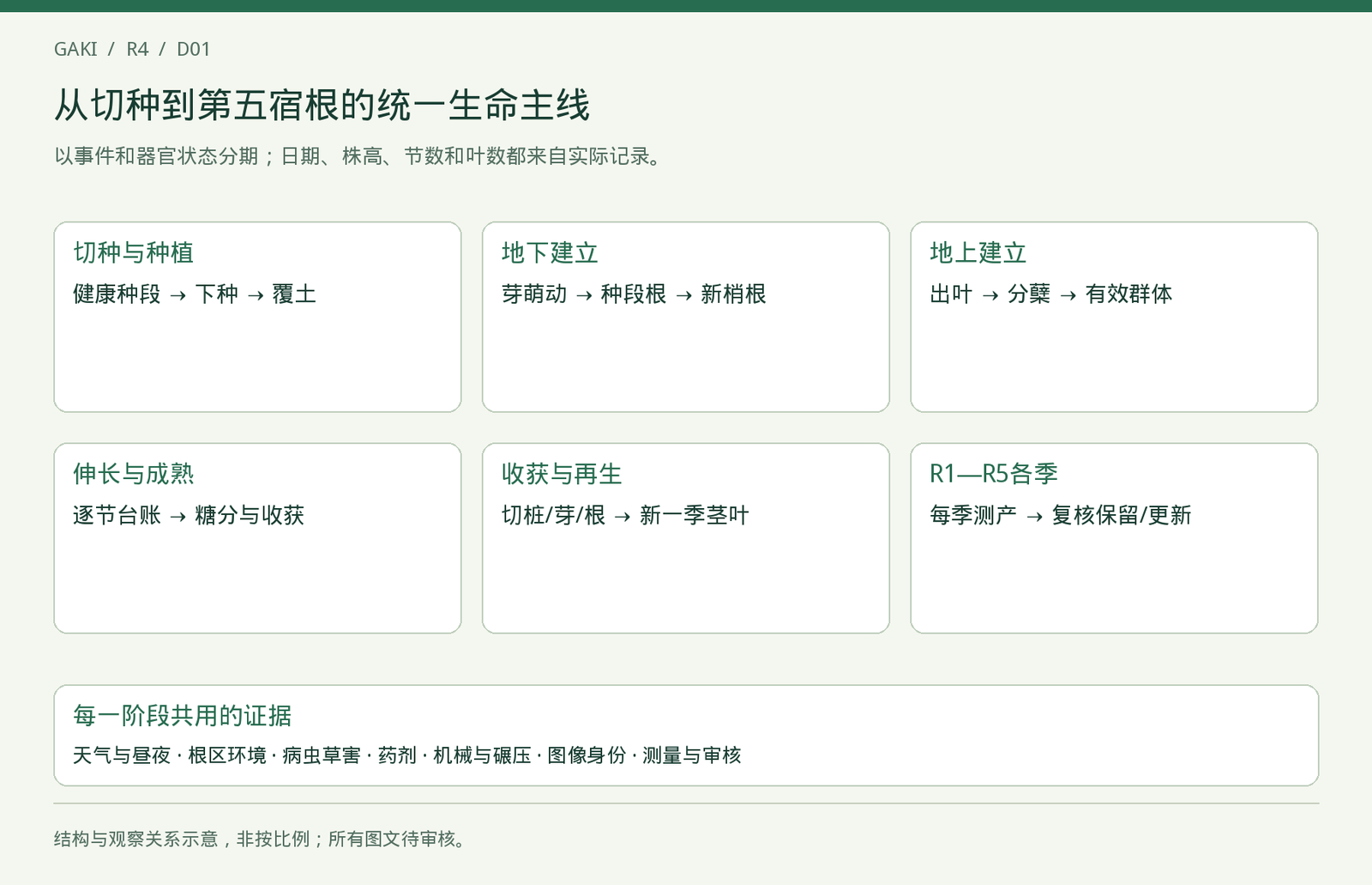 生命历程与阅读关系。顺序表示作物过程，不规定天数和产量。