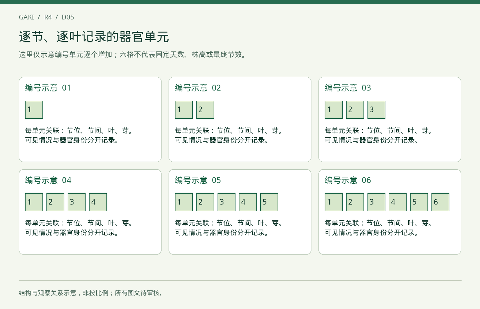 六格器官单元重复示意:每格增加一个编号单元;不是实际叶数、节数或时间序列。