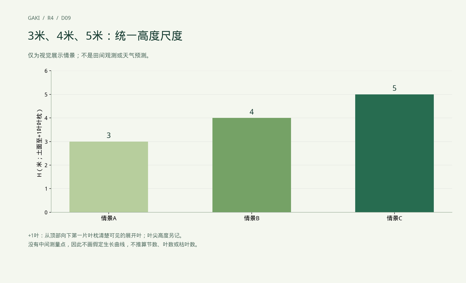 3、4、5米均为展示情景，无田间观测点。柱高只表示指定的垂直尺度，不画假定节数。