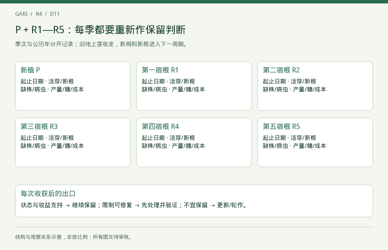 P至R5的每季检查窗口相同，诊断重点按实际历史增加；图中没有预设产量下降百分比。