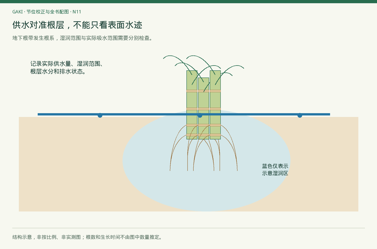 图9 根层补水的计算边界与滴灌检查（节位校正版） · 不是固定灌水量或持水量模拟；根的起点在地下茎基根带。