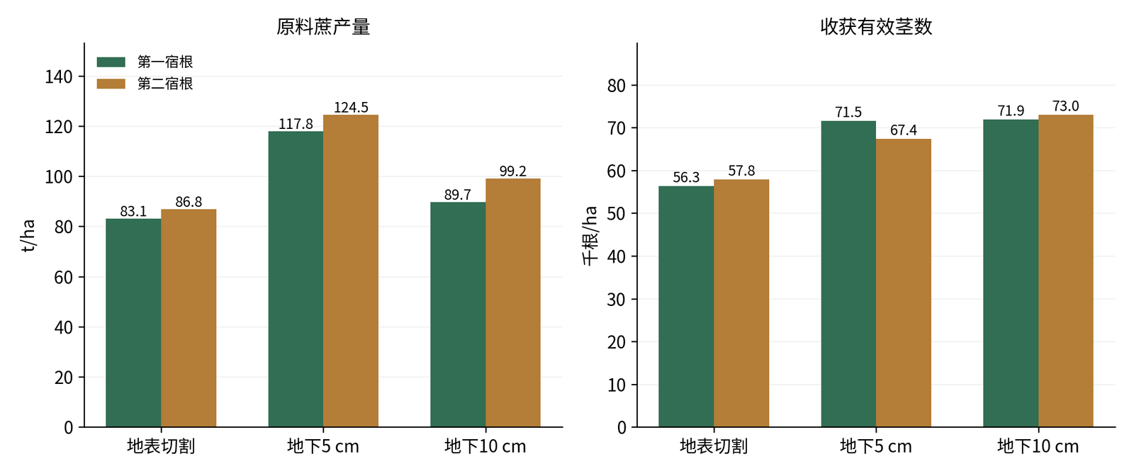 图1-3  依据文献[2]表1均值重绘。两图纵轴不同，均从0起；未添加误差线。地下10厘米处理的茎数优势没有转化为最高蔗产量。