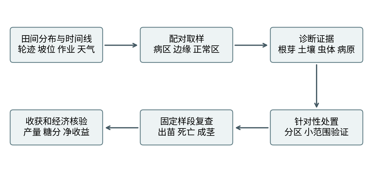 图35-1  田间诊断与效果复查流程。本书原创工作示意，每个箭头表示调查顺序而非已证实的单一因果。