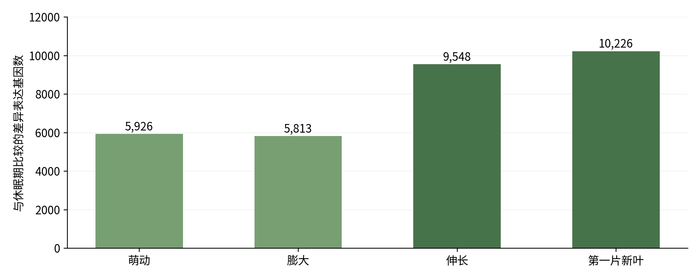 图2-3  XTT22离体芽不同阶段相对休眠期的差异表达基因数。按Li等（2026）结果段重绘；每阶段3个生物学重复，筛选阈值为|log₂倍数变化|≥2且FDR≤0.001。[7] 各比较中的基因可能重叠，不应将柱形相加当成独立基因总数。